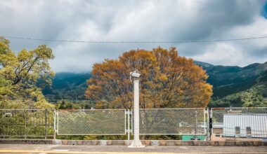 Autumn colors of Hakone