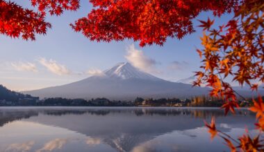 Here’s the first official 2024 autumn leaves forecast for Tokyo and the rest of Japan