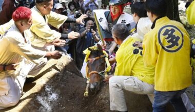 12 referred to prosecutors over horse abuse in Japan shrine ritual