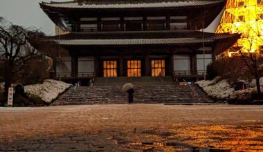 Tokyo Temple, 5AM first snow of 2024