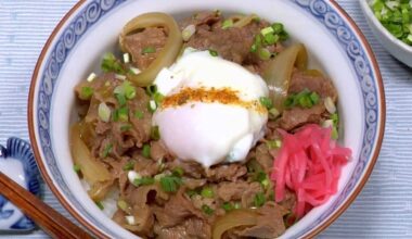 First try at gyudon and it's really weird. Can someone help?