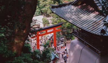 My summer ‘24 Tokyo trip - shot on film