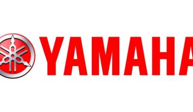 President of Yamaha Motor slashed by daughter