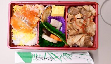 Bento box on Shinkansen