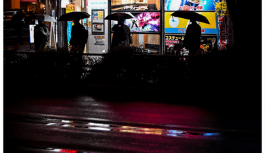 Rainy night in Tokyo 🌂