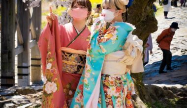 Springtime in Japan - Cherry Blossoms and Traditional Kimono 🌸