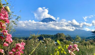 Mt. Fuji yesterday