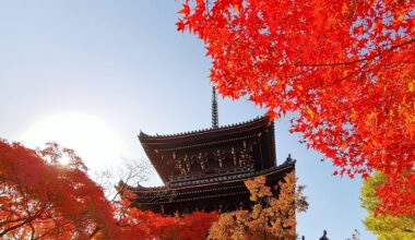 Autumn in Kyoto