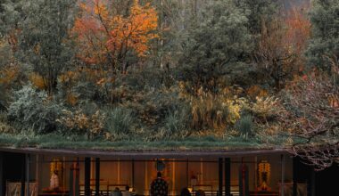 Dazaifu Tenmangu Shrine has a roof garden