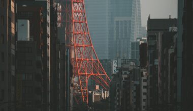 First sunrise at Tokyo Tower