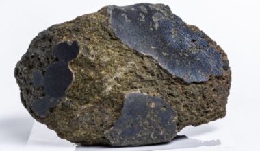 Mars meteorite found in Antarctica to feature at 2025 Osaka Expo