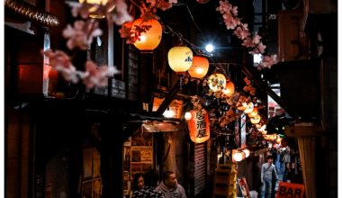 Omoide Yokocho in Tokyo. Also known as Piss Alley