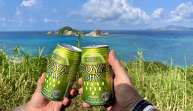 Enjoying Goya beer with a view in Okinawa