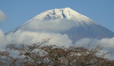 Mt Fuji from a lake area in Shizuoka.