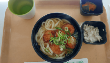 Takoyaki Udon