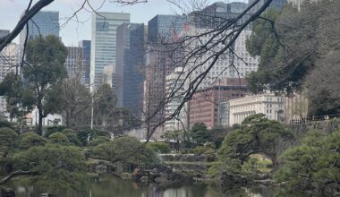 Skyscrapers from Hibiya Park