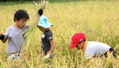 11 children in Niigata City taken to the hospital with suspected heatstroke during walk to the field to harvest rice for school event