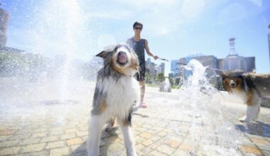 Japan logs hottest summer on record for second straight year