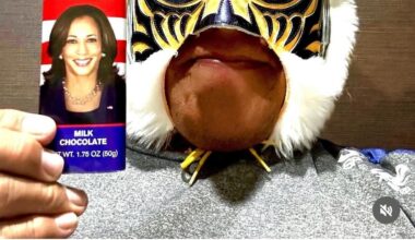 Tiger Mask IV endorses Kamala Harris