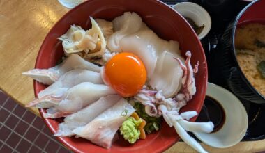 Bowl of rice topped with sashimi of squid and surume-ika