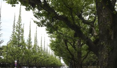 Tokyo's Gaien redevelopment under review amid conservation protest