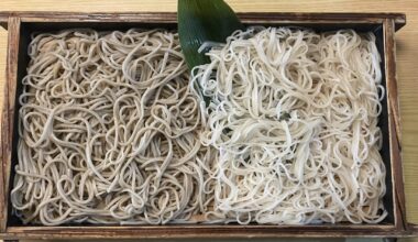 Two-coloured Soba from Shojiya (Yamagata)