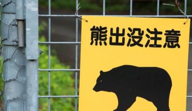 Japanese mom says she kicked wild bear while holding baby in her arms after sudden scary encounter