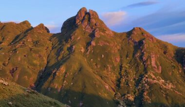 Yakushima at Dawn