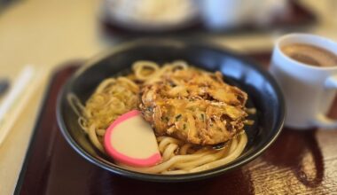 After disappointing trip to Venus Line (Nagano) due to weather. Nevertheless, enjoyed eating food in Matsumoto City. ( Kakiage Udon, Horse Sashimi or Basashi, gyoza and Meat with Tofu).