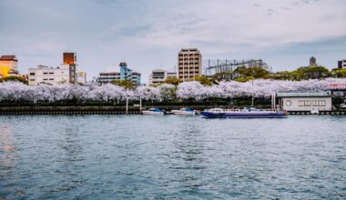 Cherry Blossom, Osaka Mint Bureau (04.2014)