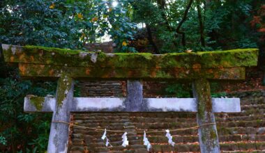 Lonely Torii