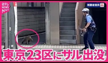 Video: cop confronts monkey in Itabashi-ku yesterday