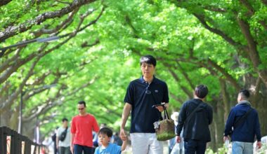 Life in Japan: Why is Tokyo shrinking its green spaces amid a climate emergency?