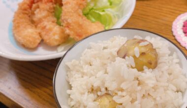 Chestnut rice ＆ fried shrimp