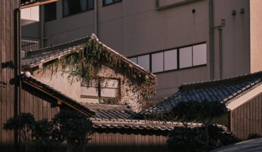 Little house with some character, Nara.