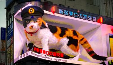 Shinjuku Police Cat