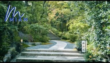 Michelin-Star Kaiseki Hidden in a Tranquil Garden