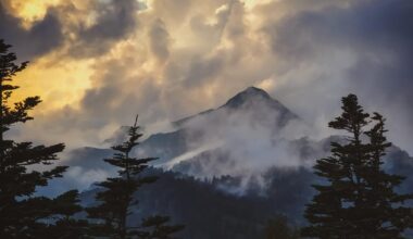 At Mt. Yokote Drive-in, Hirao, Yamanochi, Nagano