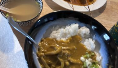 Mild pork belly curry with mushrooms, carrots, apple and onion over rice and leftover stock from chuka soba. Side of  miso soup and pork belly yakitori with scallions in homemade sauce… I had a ton of pork belly leftover from chasu lol